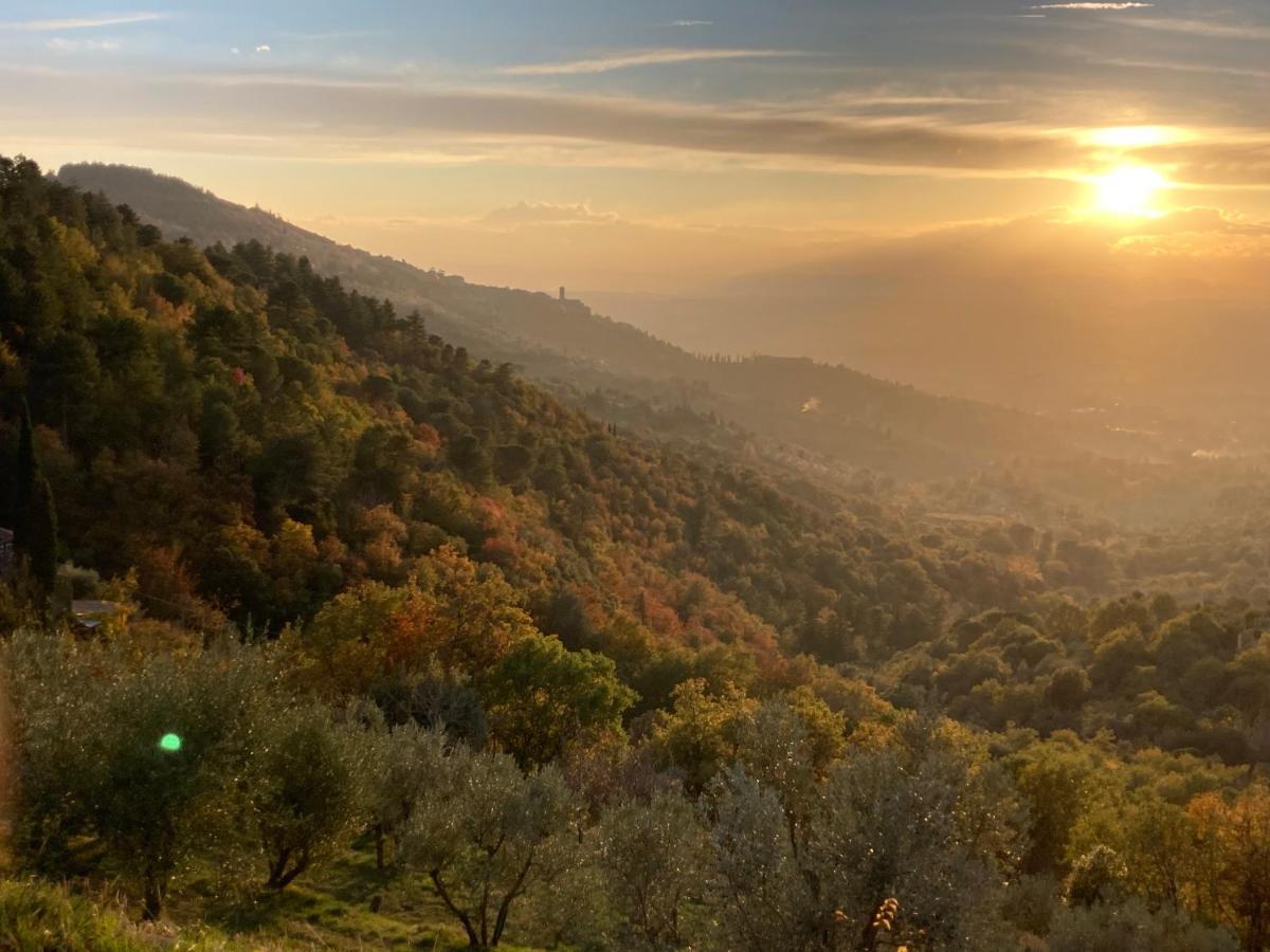 Cortona'S Rooftop Nest Екстериор снимка